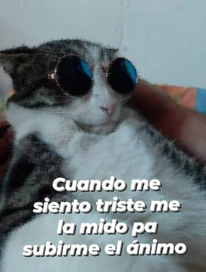 Cuando me siento triste me la mido para subirme el animo