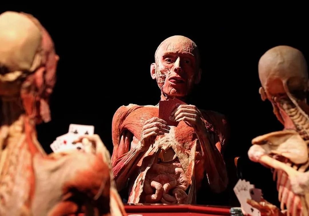 «La exposición Body: un acercamiento a la vida a través de la muerte»
