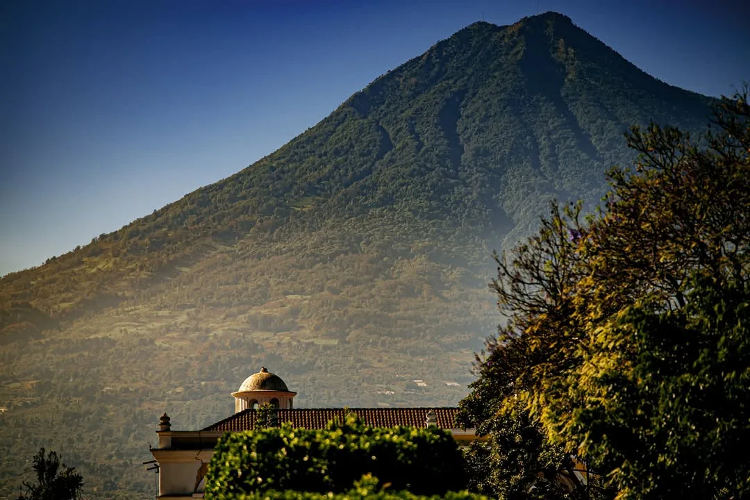 Pumas en el Volcán de Agua