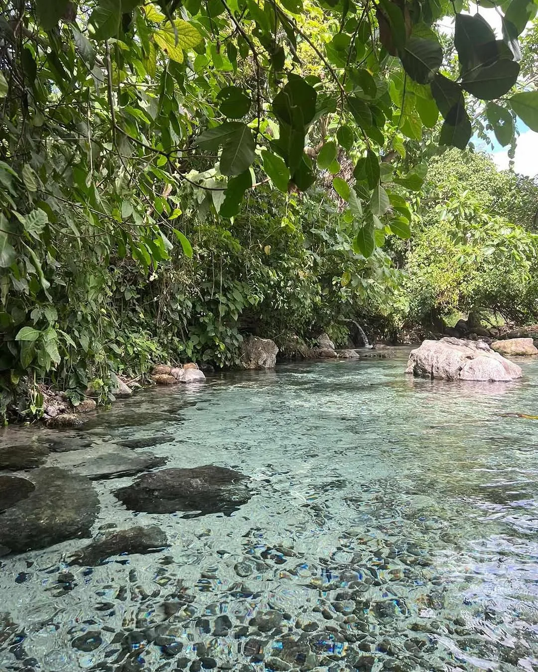 Finca Agua Tibia: Un oasis de tranquilidad en el corazón de Guatemala