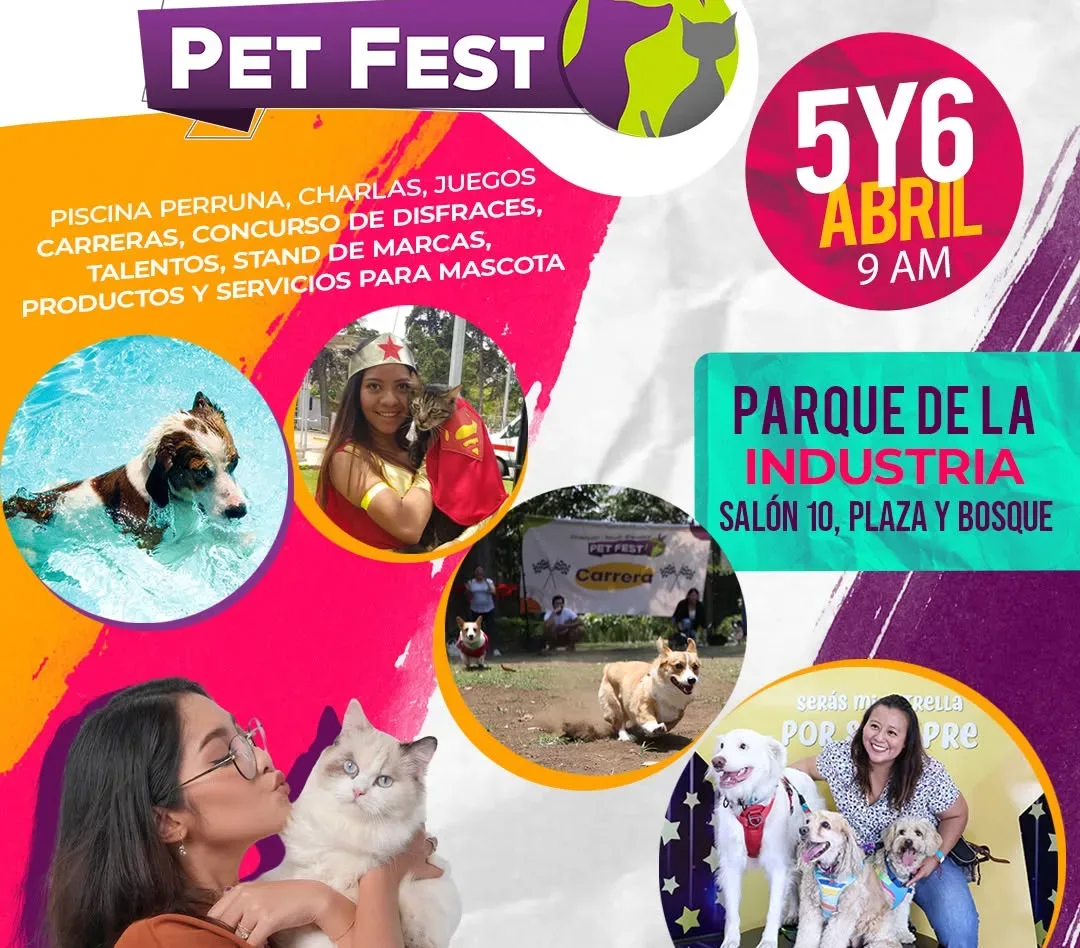 Un día de diversión para toda la familia peluda