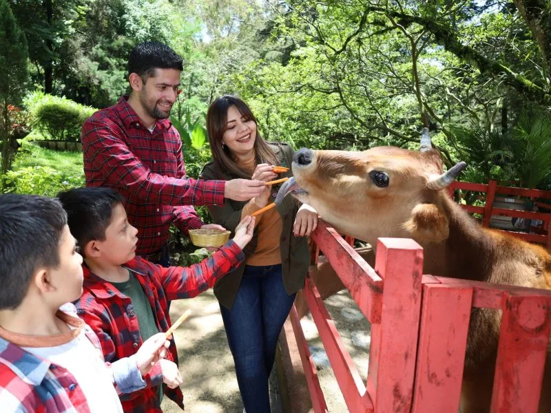 La Finka un Restaurante que ofrece un Mundo Animal por Descubrir