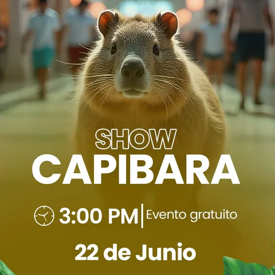 Show Capibara invade centra norte