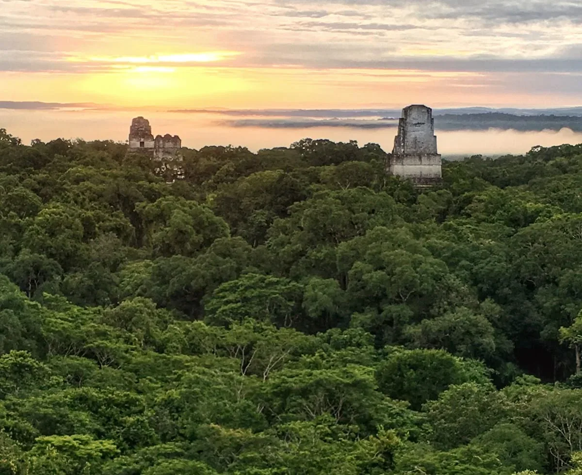 Convocatoria premio GEMAS